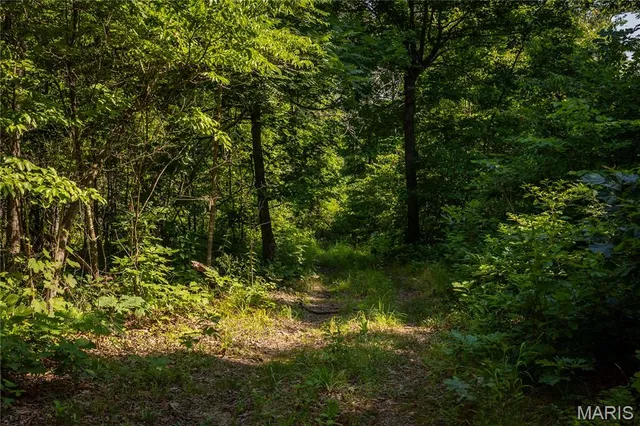 $240,000 | Tbd Beechnut Road, Stover, MO 65078