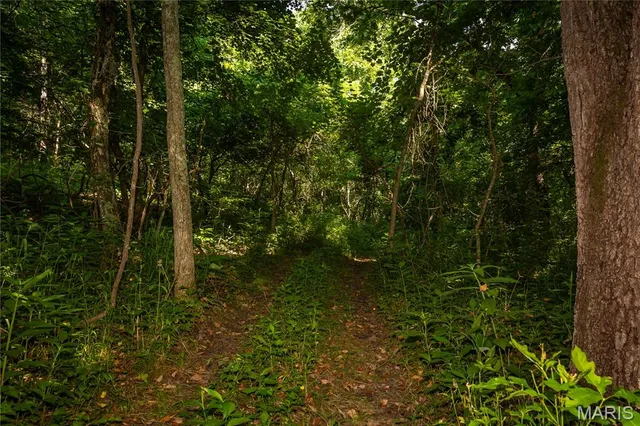 $240,000 | Tbd Beechnut Road, Stover, MO 65078