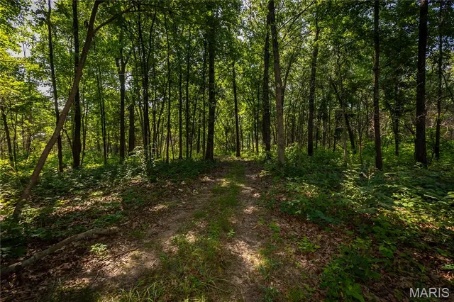 $240,000 | Tbd Beechnut Road, Stover, MO 65078