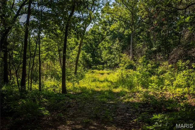$240,000 | Tbd Beechnut Road, Stover, MO 65078