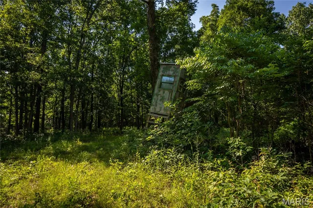 $240,000 | Tbd Beechnut Road, Stover, MO 65078