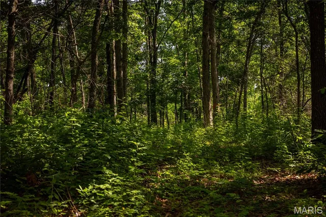 $240,000 | Tbd Beechnut Road, Stover, MO 65078