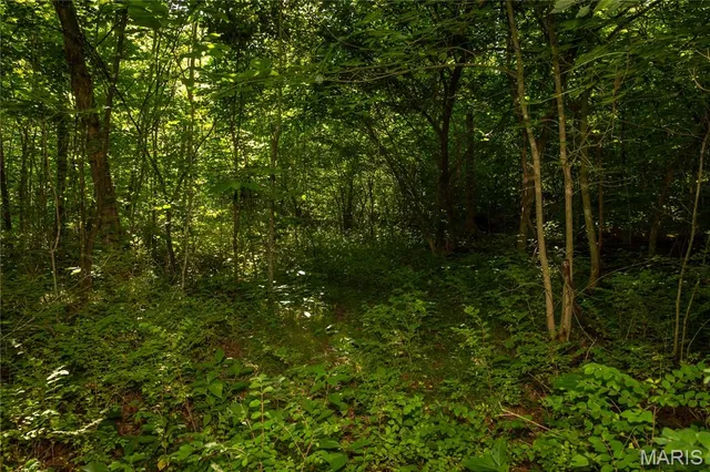 $240,000 | Tbd Beechnut Road, Stover, MO 65078