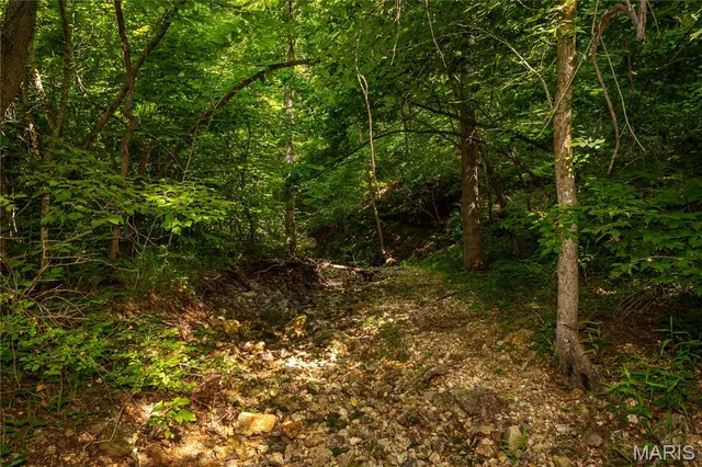 $240,000 | Tbd Beechnut Road, Stover, MO 65078