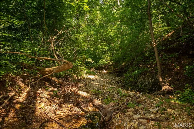 $240,000 | Tbd Beechnut Road, Stover, MO 65078