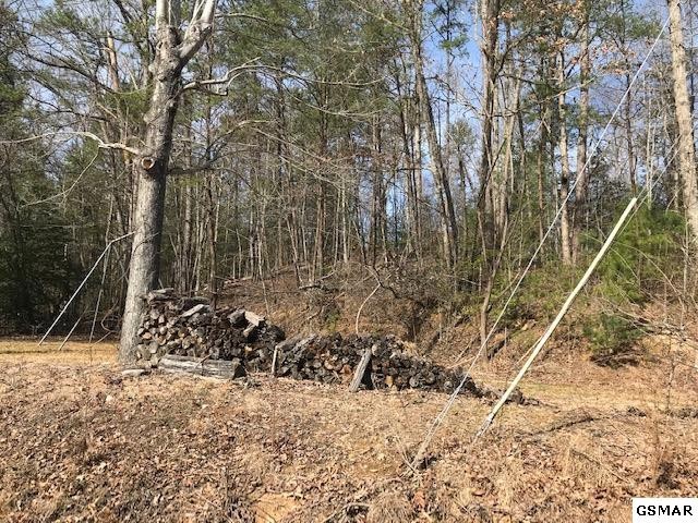 10 Reed Ridge Road Gatlinburg, TN 37738 - Photo 3 of 8