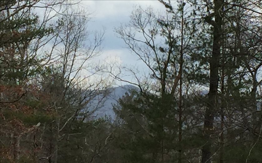 Lot 2 Red Berry Ridge Road Blue Ridge, GA 30513 - Photo 1 of 1 Main View