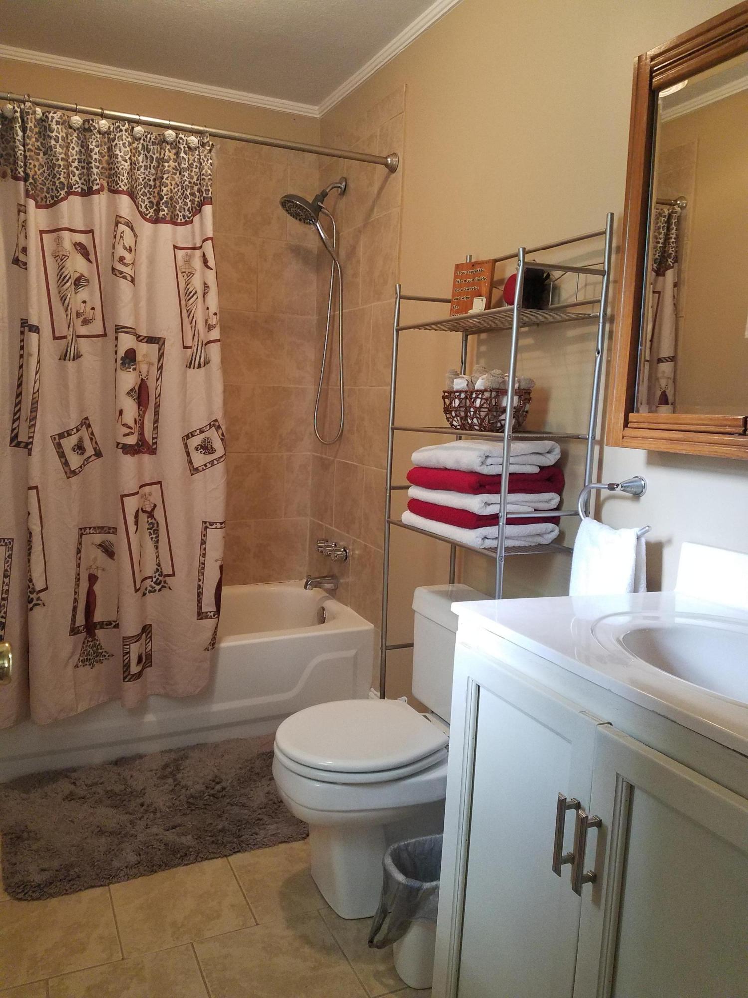 1234 County Line Road Cross, SC 29436 - Photo 17 of 36 master bath