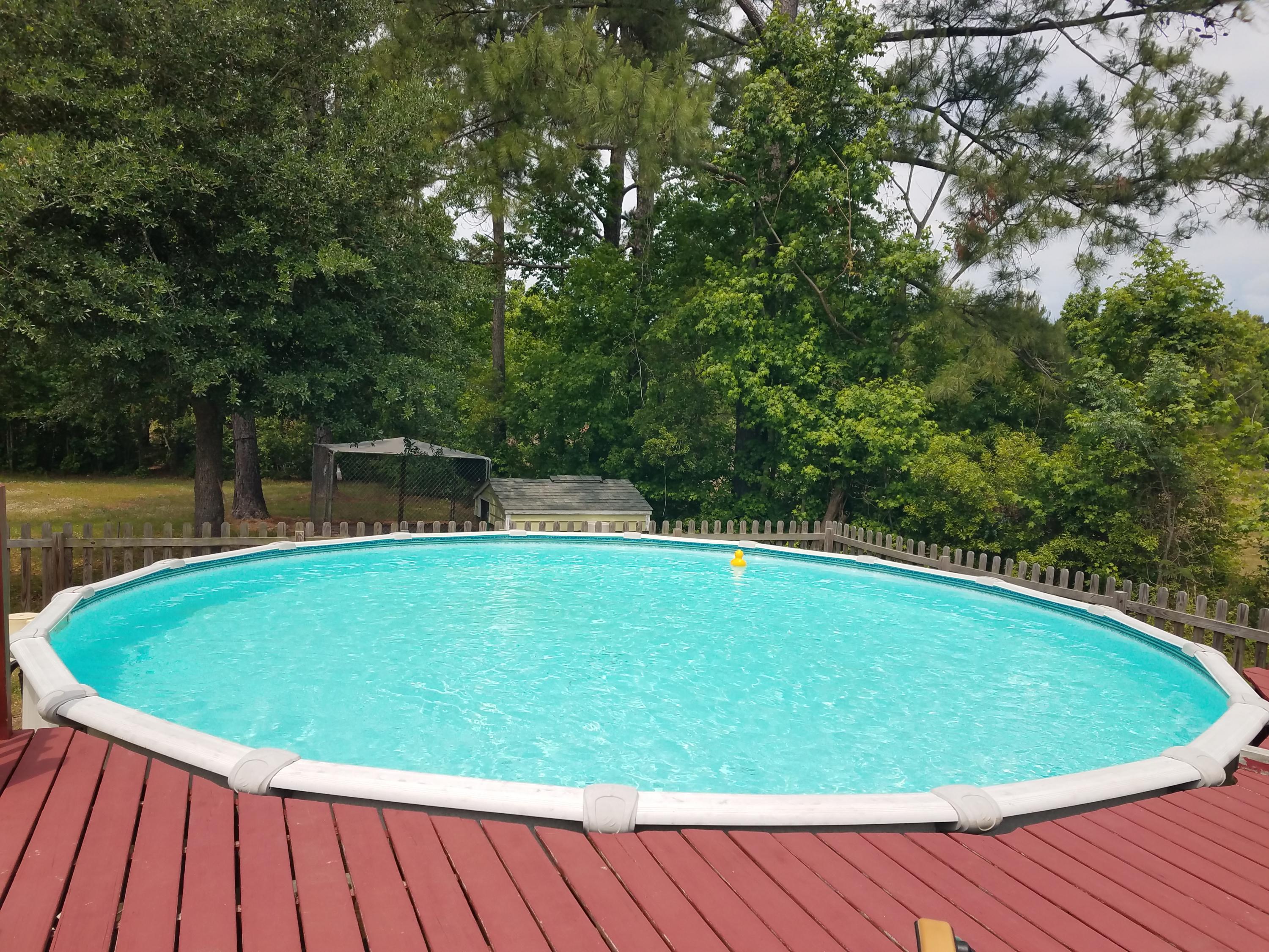 1234 County Line Road Cross, SC 29436 - Photo 33 of 36 full pool view