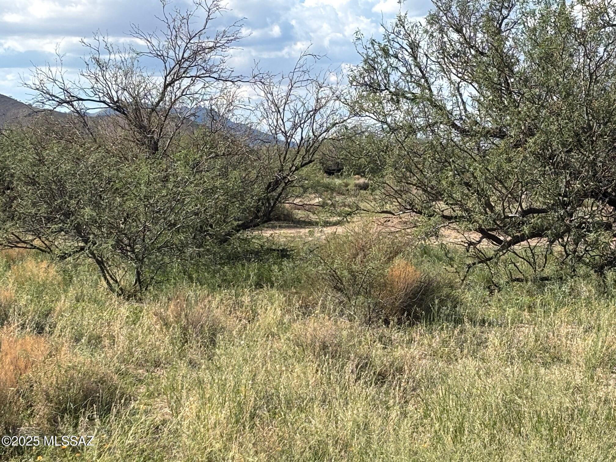 Tbd Bryant Road, Unit 181 Pearce, AZ 85625 - Photo 33 of 33