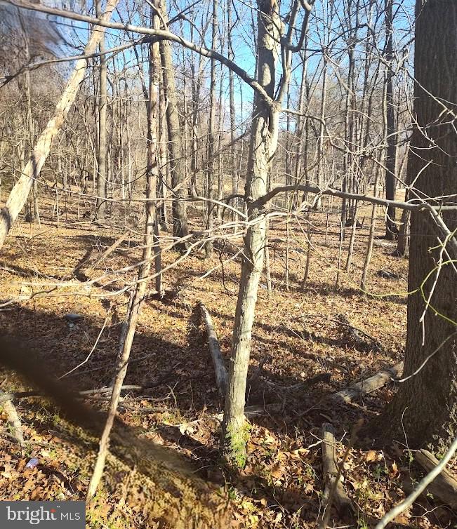 St Barnabas Road Fort Washington, MD 20744 - Photo 5 of 6 a bathroom with a window