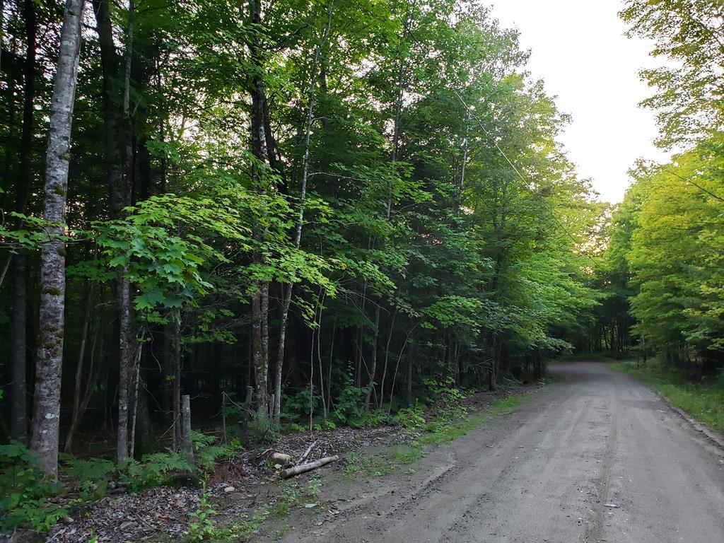 Mapr6-lot19 Dill Road Starks, ME 04911 - Photo 20 of 25 20190829_191116 (Copy)