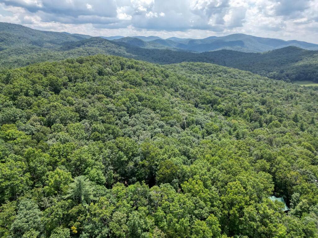 Lot 7 Noontootla Overlook Blue Ridge Blue Ridge, GA 30513 - Photo 11 of 11 Gallery Image 11