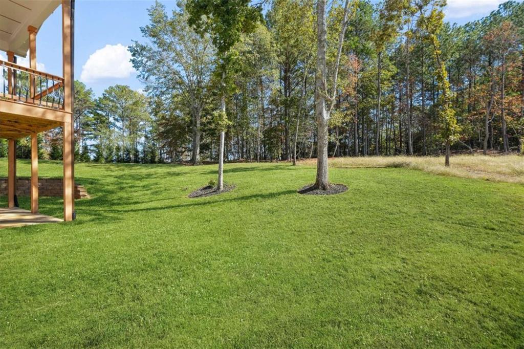 1525 Tapestry Ridge Southeast Lawrenceville, GA 30045 - Photo 47 of 49 a view of a park with a tree