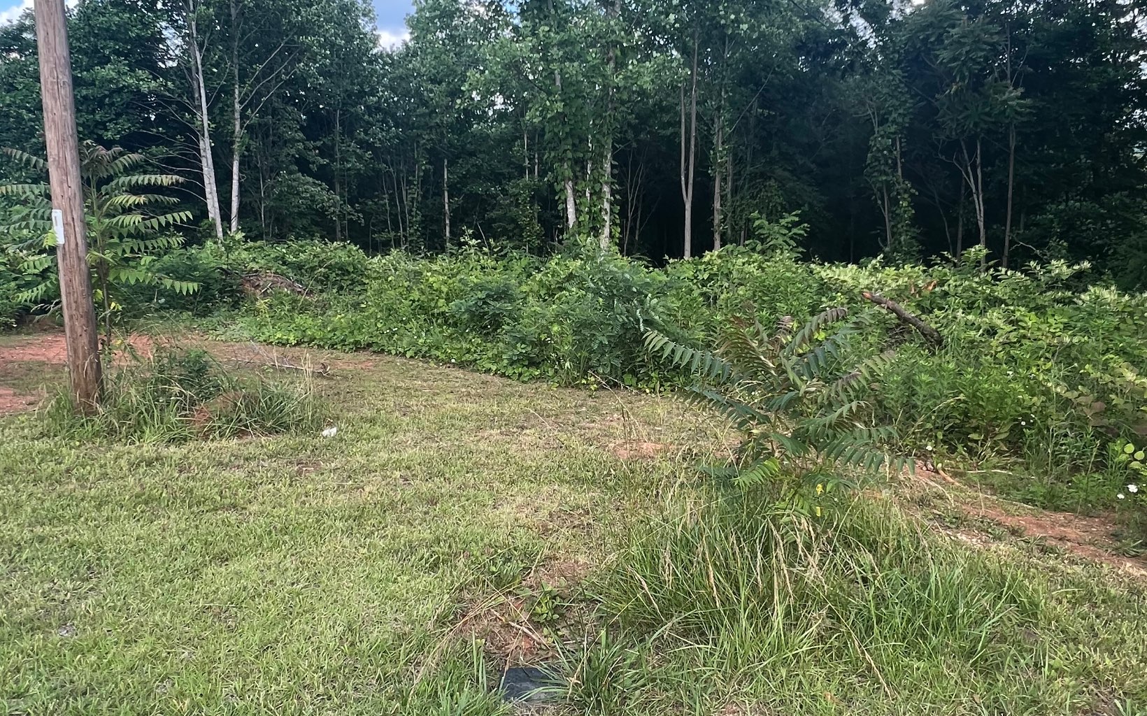 1.2-lot Cole Road Copperhill, TN 37317 - Photo 33 of 37 Additional View