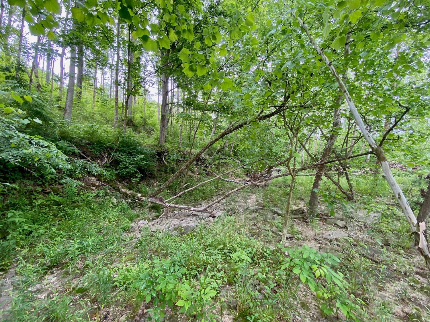 63-ac Loudon Road Georgetown, OH 45121 - Photo 15 of 28