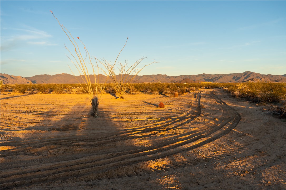 207-17-065 South Cameron Road Yucca, AZ 86438 - Photo 9 of 24