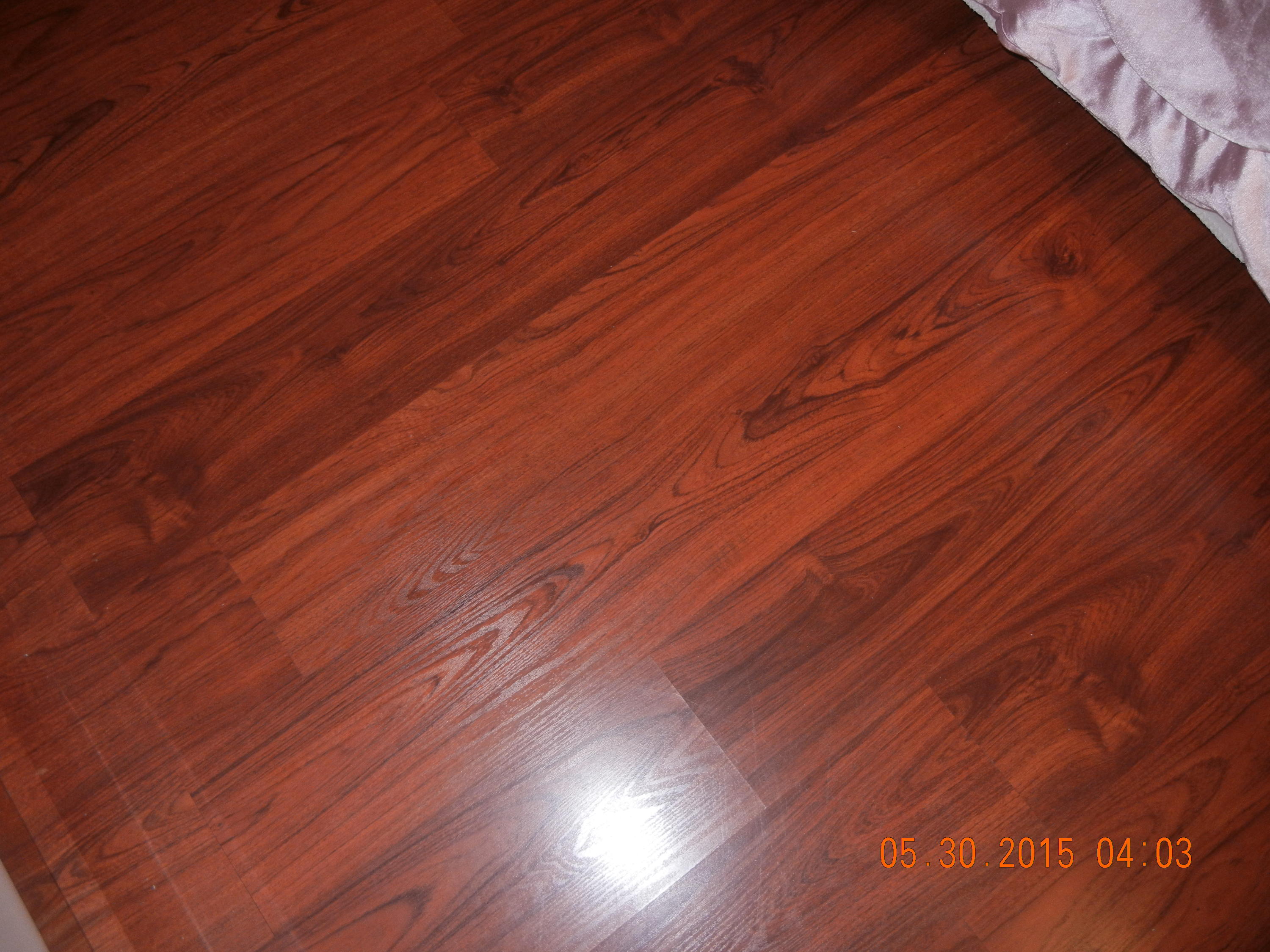 6893 Bianchini Circle Boca Raton, FL 33433 - Photo 8 of 13 DSCN1746