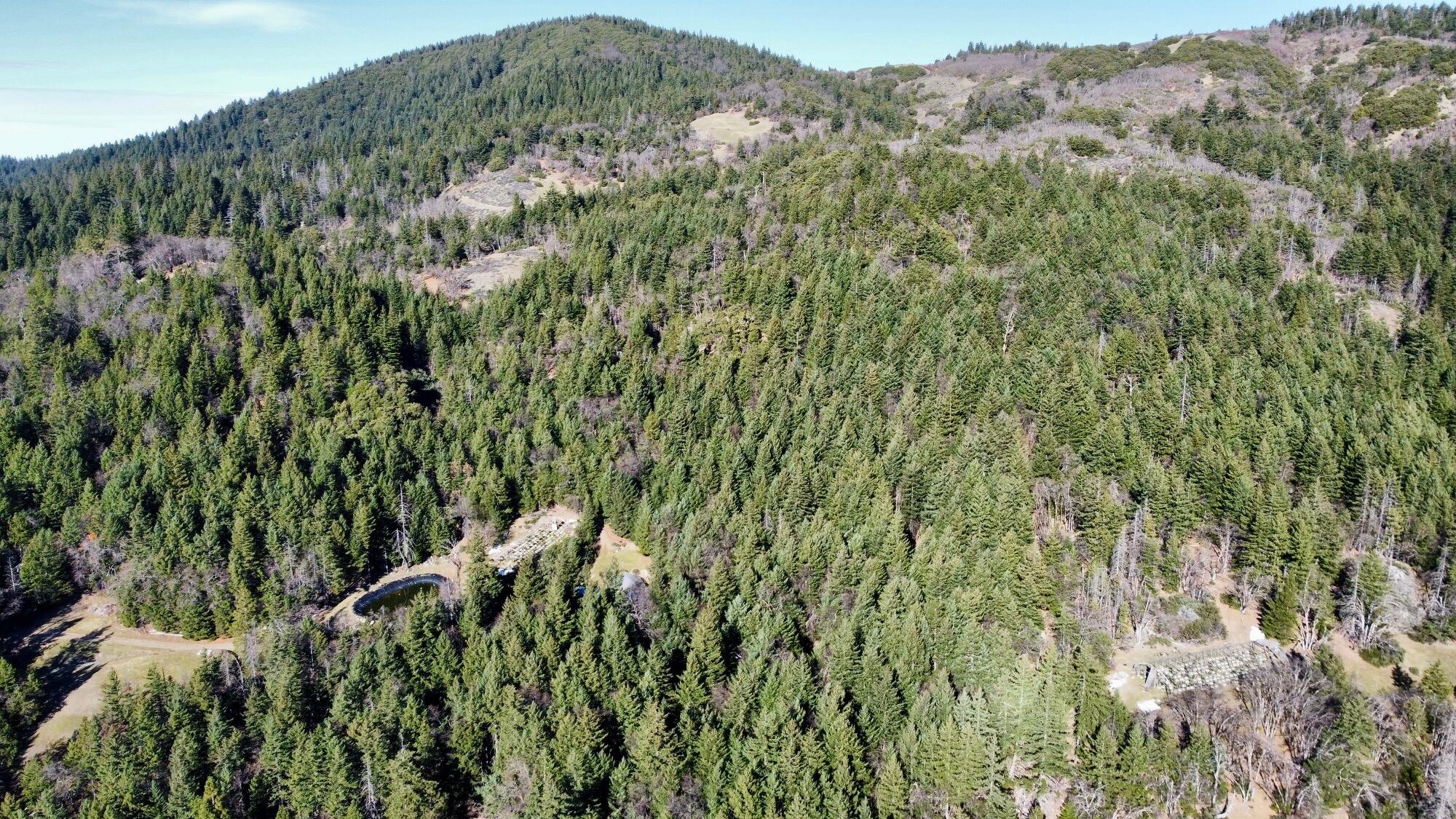 5735 Forest Rte 1N08 Bridgeville, CA 95526 - Photo 13 of 55