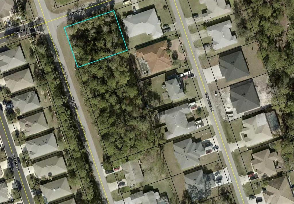 115 Rae Drive Palm Coast, FL 32164 - Photo 1 of 1 Gallery Image 1