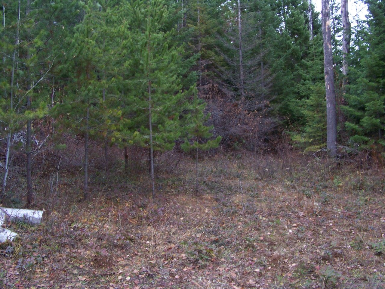 Lot 10 Greenhouse Road Ione, WA 99139 - Photo 3 of 10 Gallery Image 3