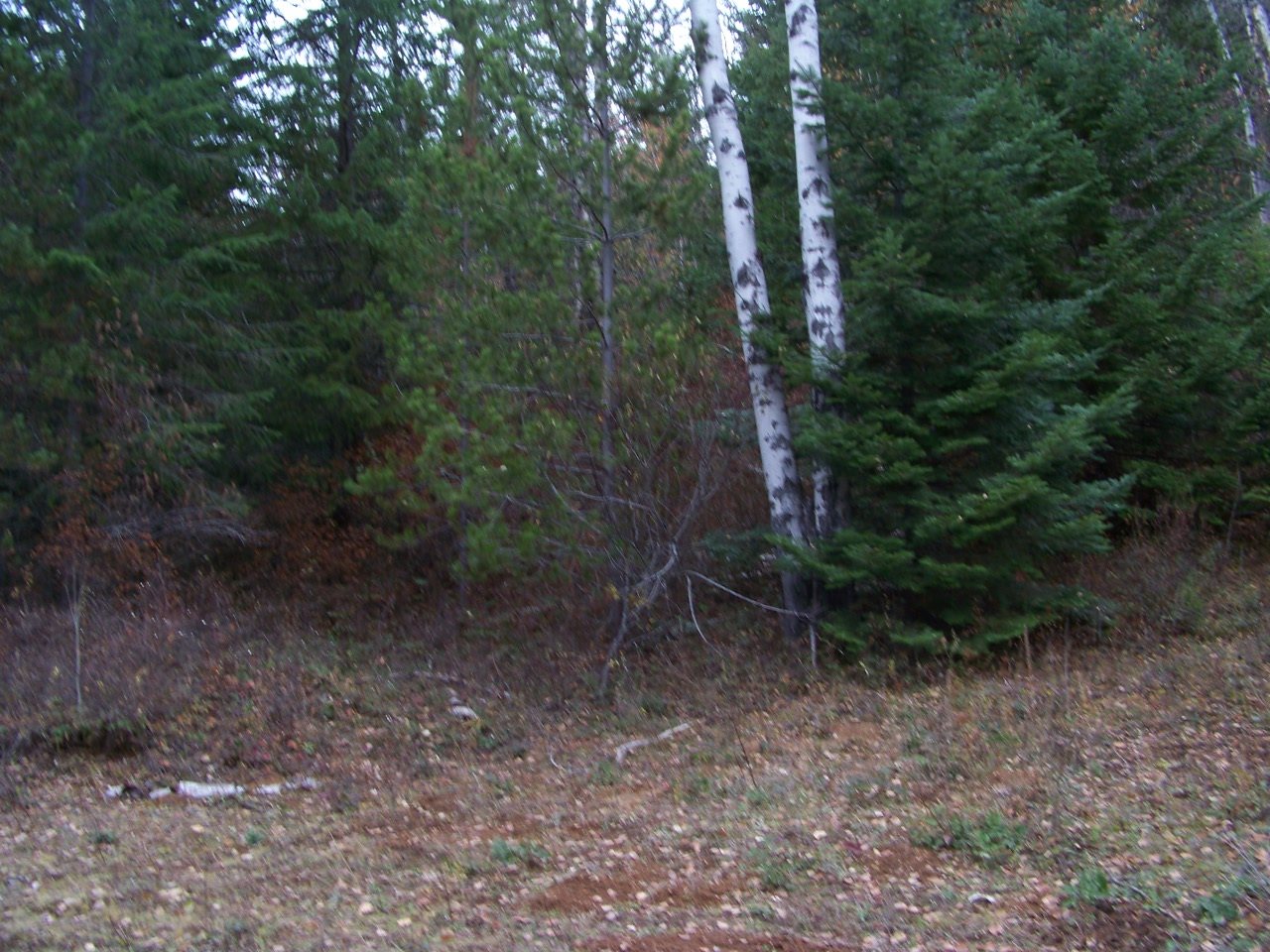 Lot 10 Greenhouse Road Ione, WA 99139 - Photo 4 of 10 Gallery Image 4