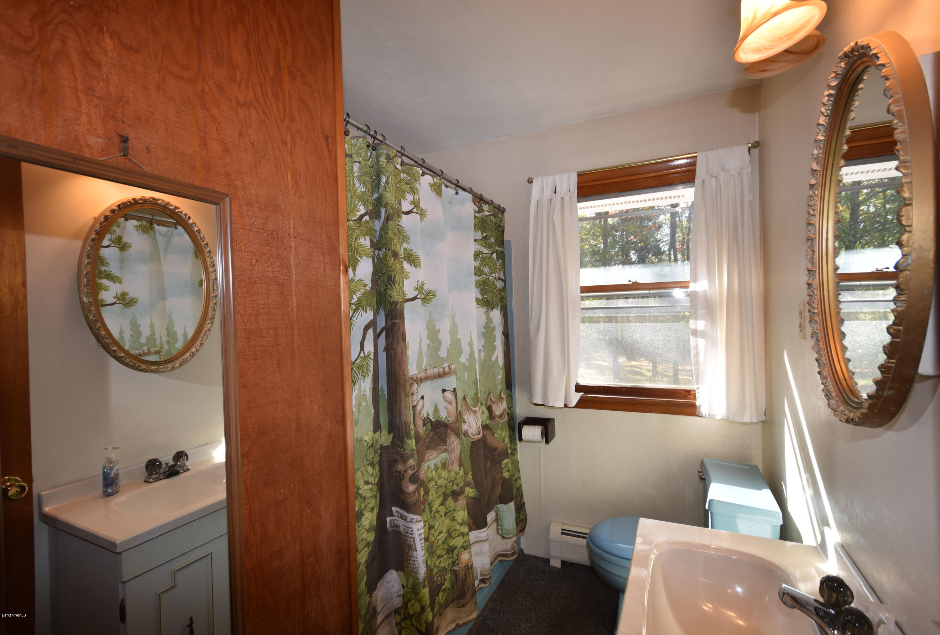 239 East Windsor Road Peru, MA 01235 - Photo 24 of 38 a bathroom with a sink a toilet and a mirror