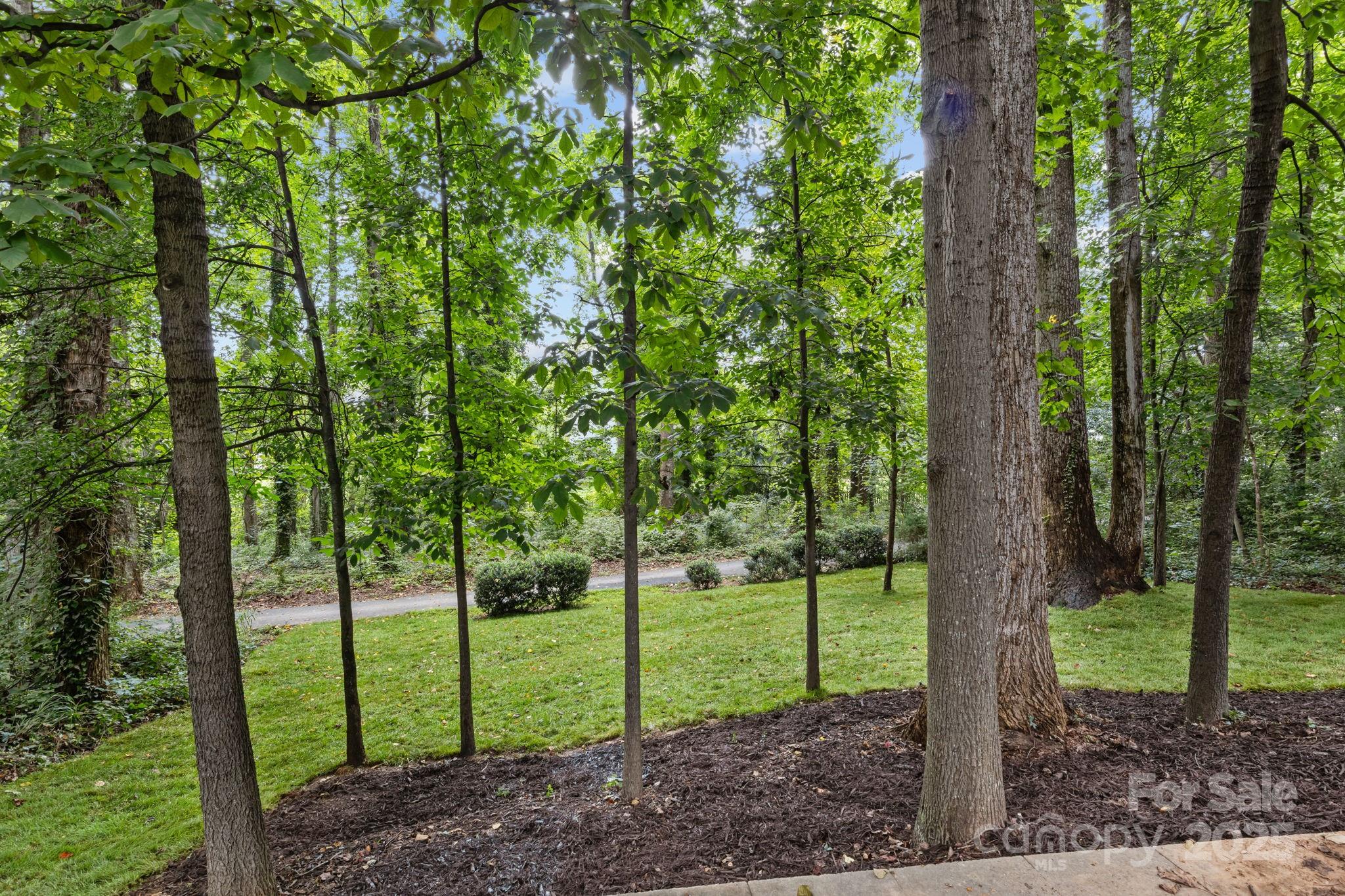 20324 Middletown Road Cornelius, NC 28031 - Photo 8 of 48 Gallery Image 8