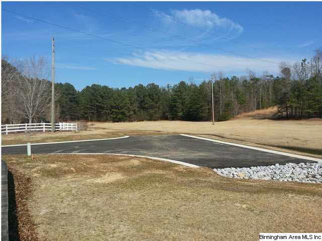 100 Cahaba Oaks Trail Pelham, AL 35124 - Photo 4 of 24