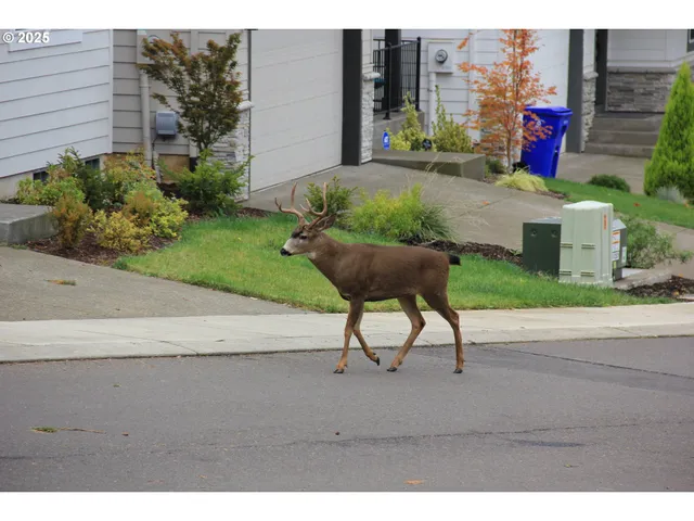 a view of yard with outdoor seating