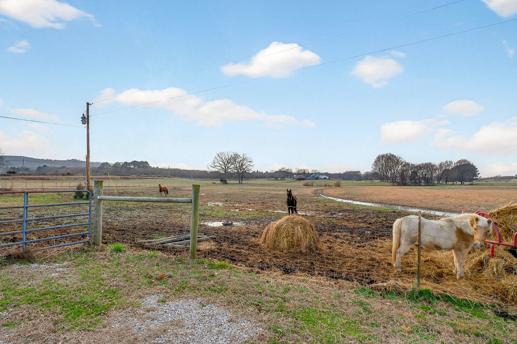 1680 Harrison Ferry Road McMinnville, TN 37110 - Photo 12 of 53