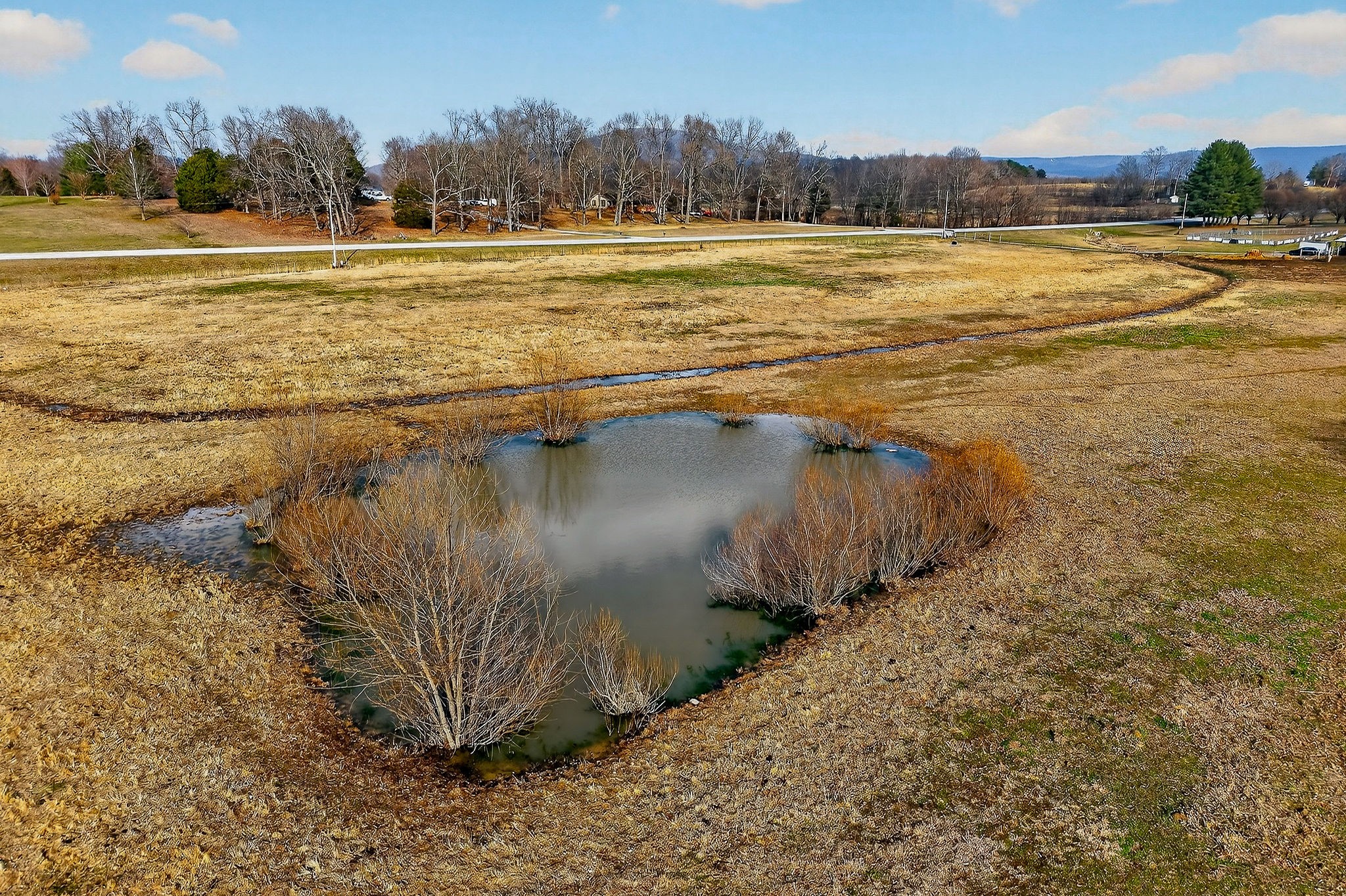 1680 Harrison Ferry Road McMinnville, TN 37110 - Photo 26 of 53 a view of a lake with a yard