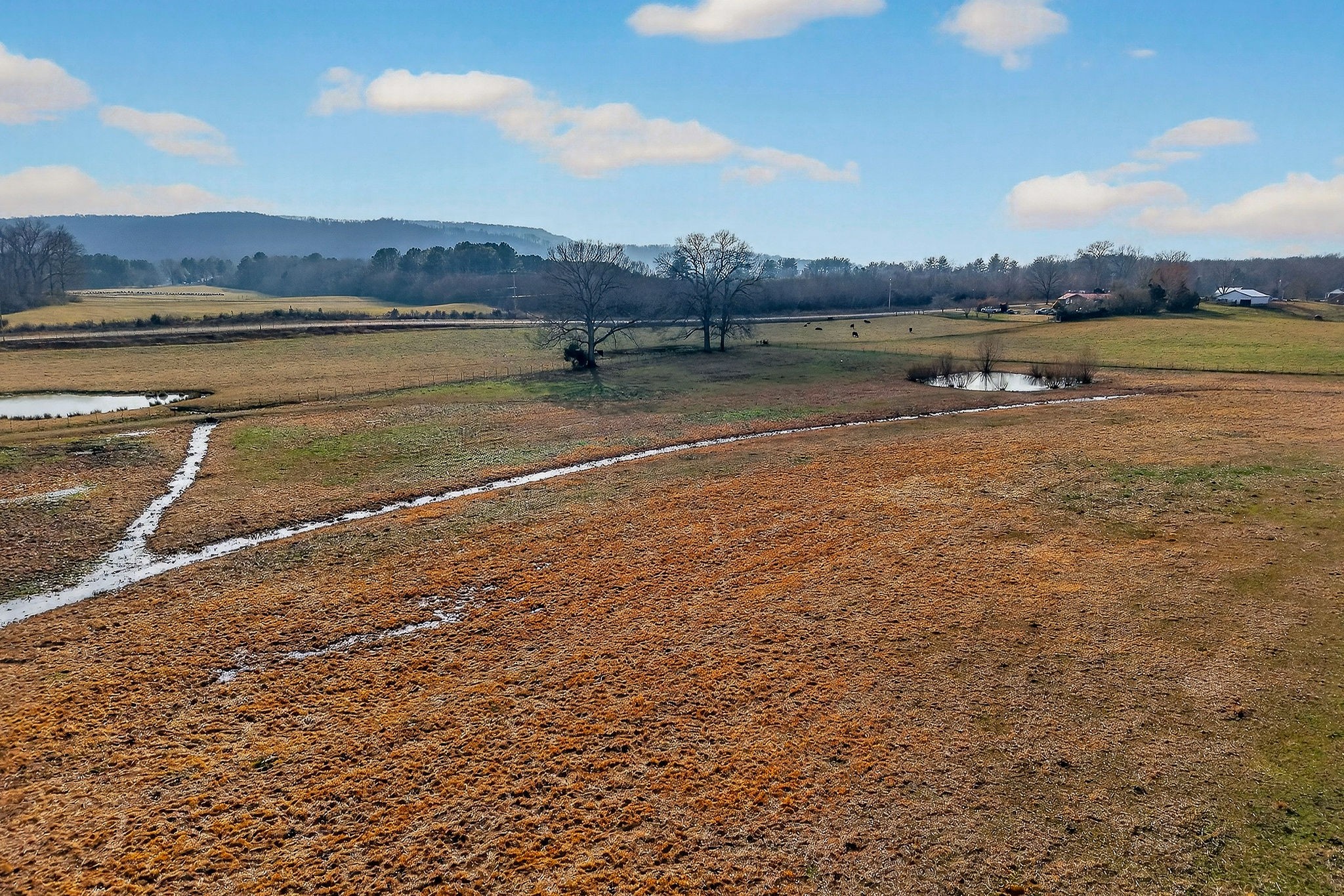 1680 Harrison Ferry Road McMinnville, TN 37110 - Photo 27 of 53 a view of a lake with houses in the back