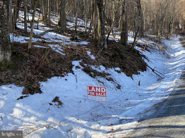 495 High Ridge Road Stanley, VA 22851 - Photo 21 of 22 Gallery Image 21