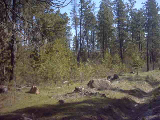 4330 Cemetery Road Springdale, WA 99173 - Photo 4 of 9