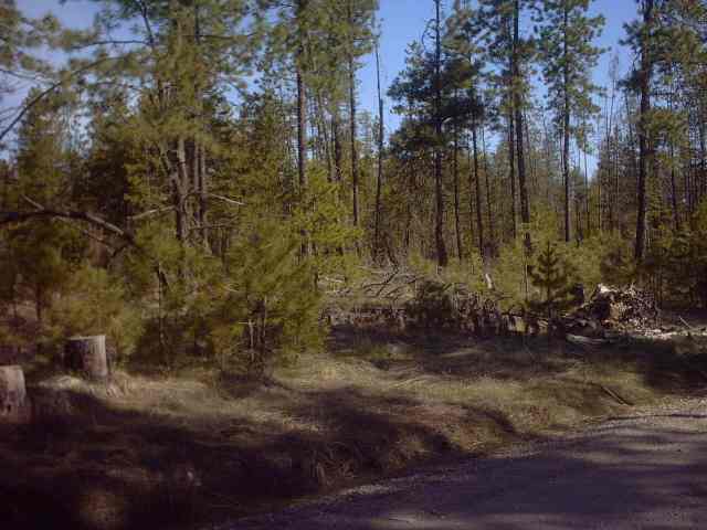 4330 Cemetery Road Springdale, WA 99173 - Photo 6 of 9