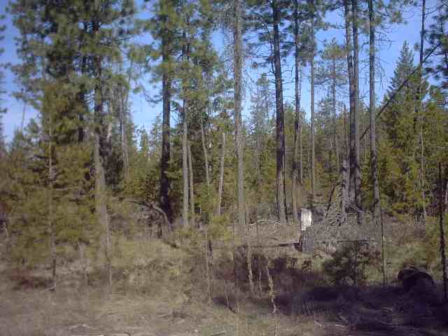 4330 Cemetery Road Springdale, WA 99173 - Photo 7 of 9