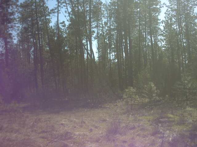 4330 Cemetery Road Springdale, WA 99173 - Photo 8 of 9