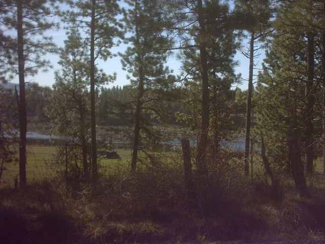 4330 Cemetery Road Springdale, WA 99173 - Photo 9 of 9