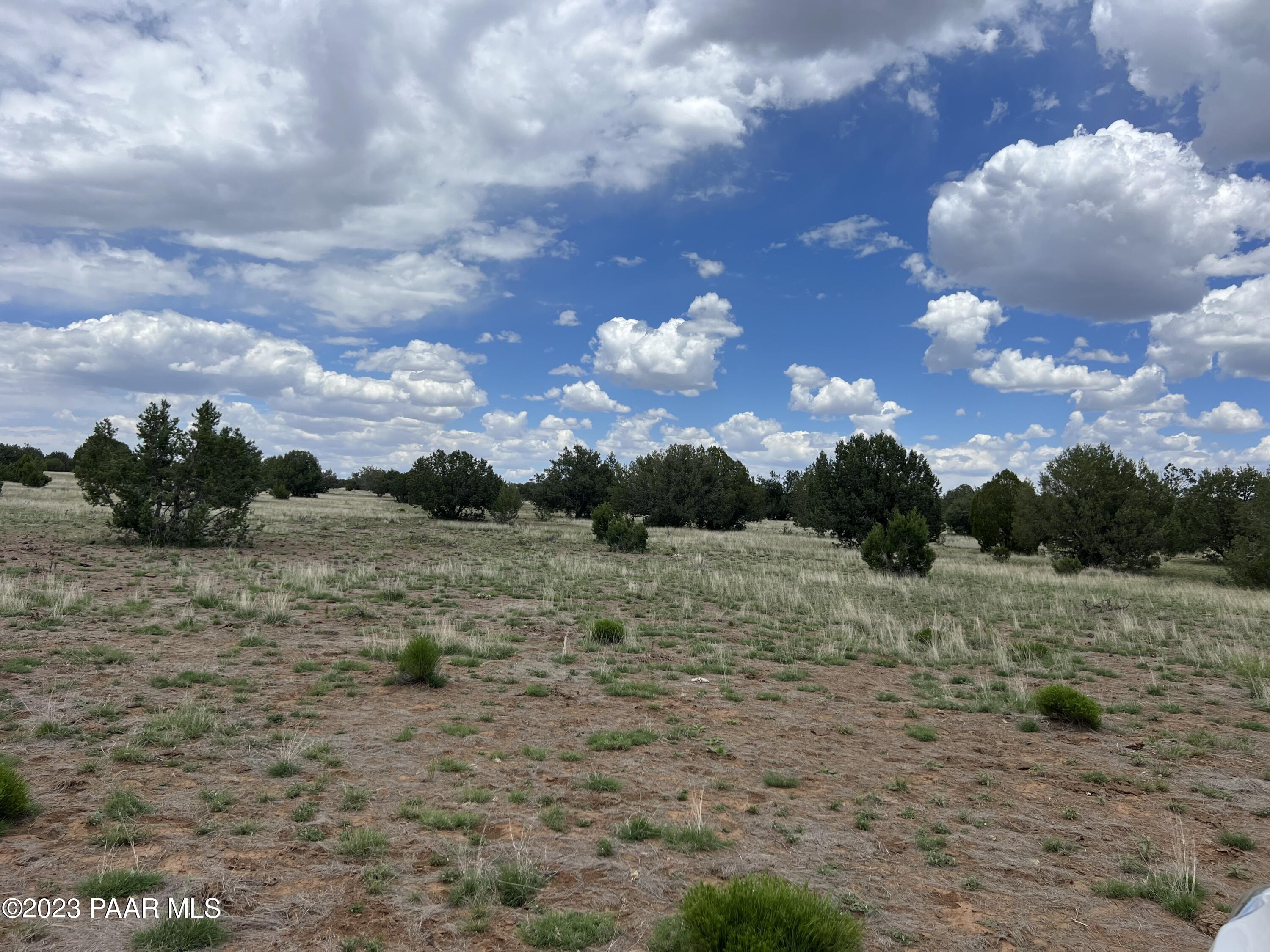 29 Tuscan Road Williams, AZ 86046 - Photo 6 of 9 IMG_3186