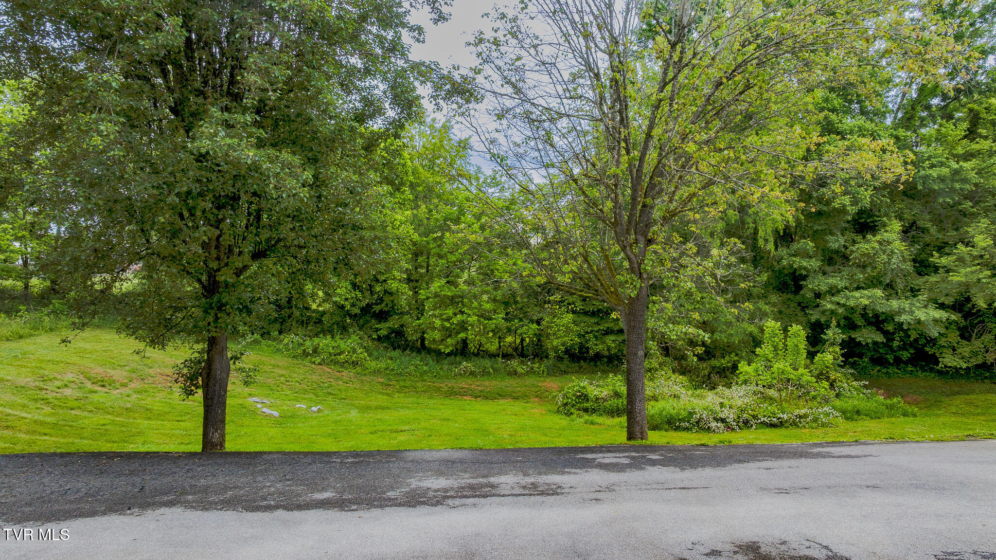 152 Gray Station Road, Unit 40 Gray, TN 37615 - Photo 21 of 22 dji_fly_20260511_150522_0473_17785262373