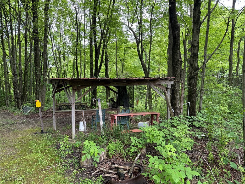 5595 Ford Road Madison, OH 44057 - Photo 30 of 36 Surrounding community with a wooded view