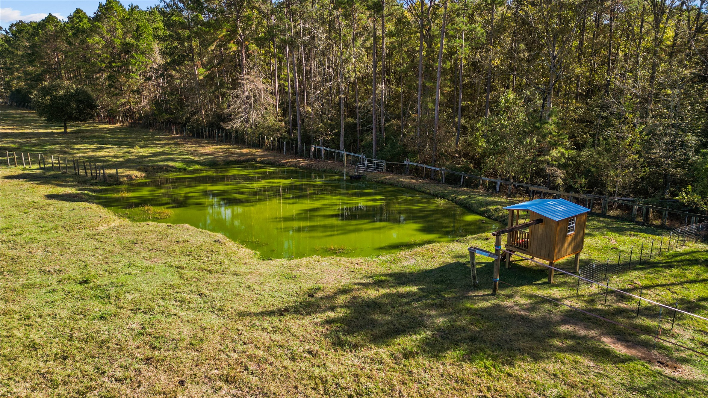 245 Alabama Point Livingston, TX 77351 - Photo 37 of 50 a view of a swimming pool with an outdoor space