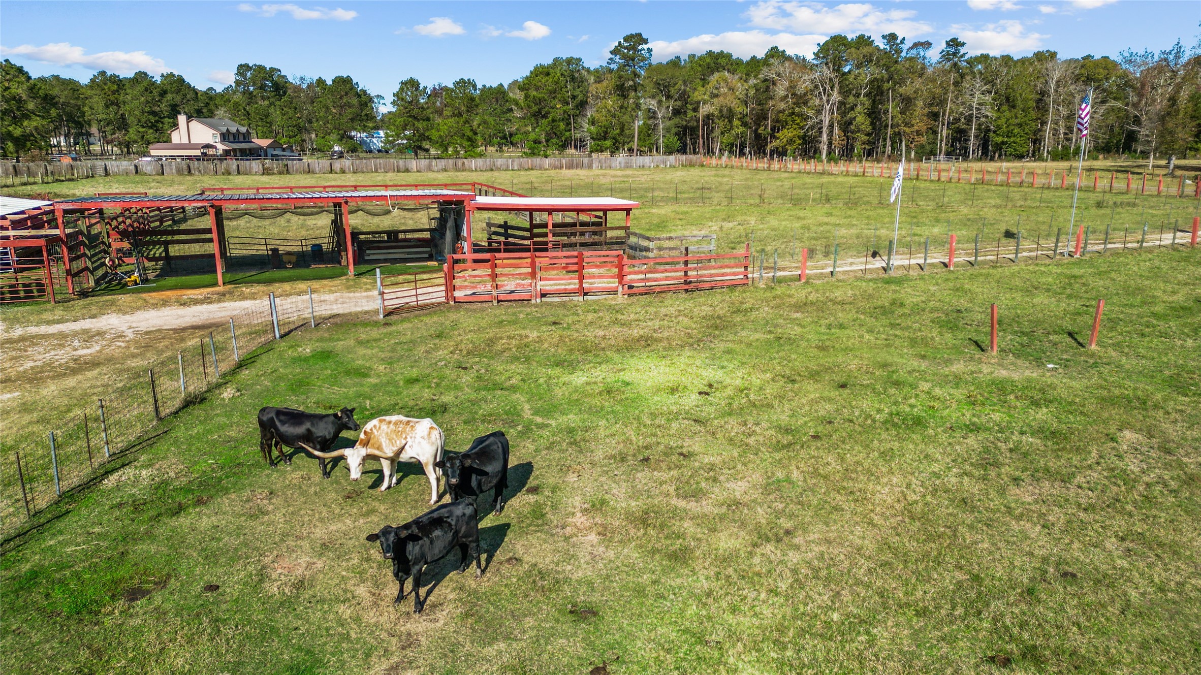 245 Alabama Point Livingston, TX 77351 - Photo 43 of 50