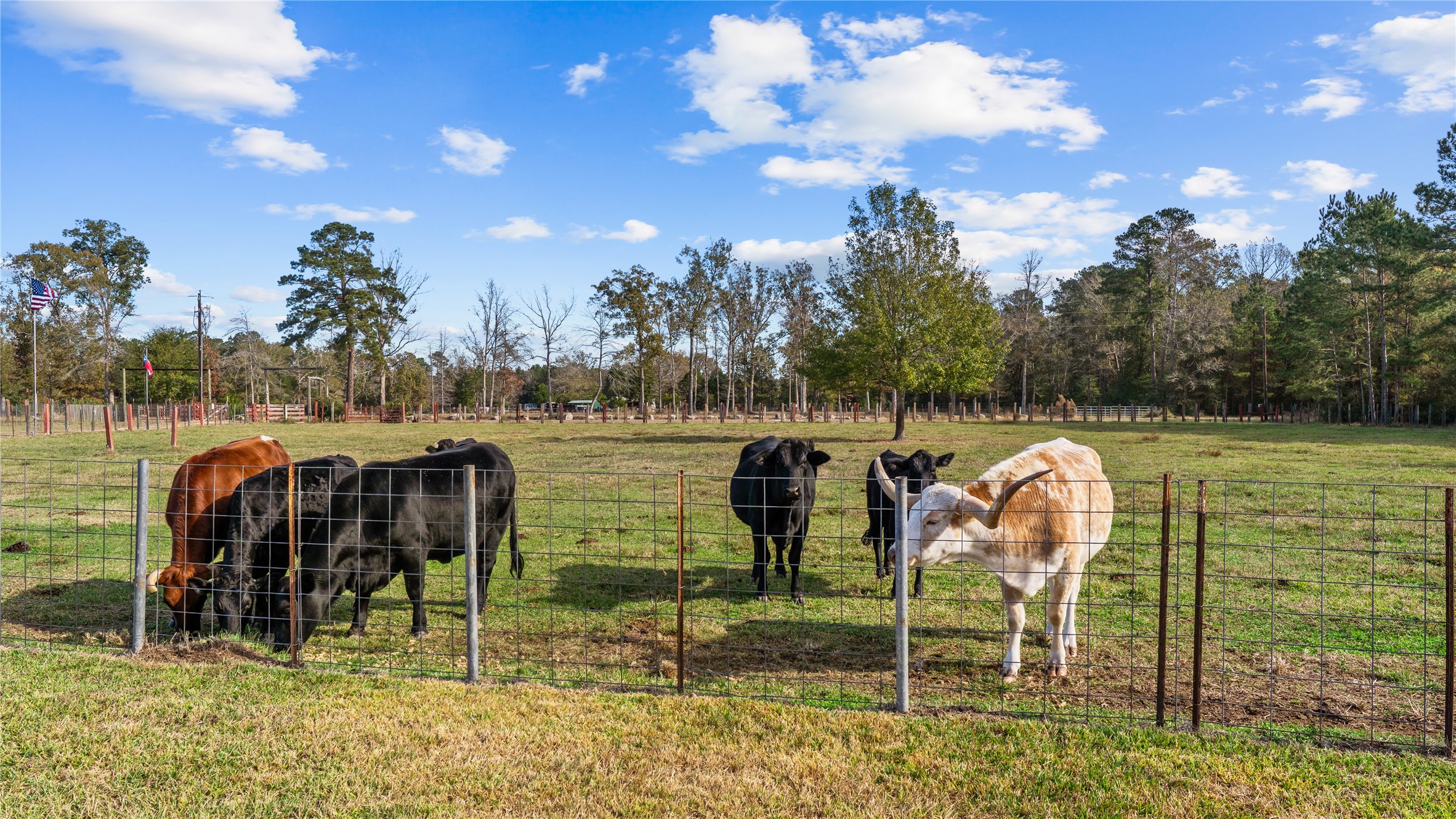 245 Alabama Point Livingston, TX 77351 - Photo 44 of 50 a backyard of a house with table and chairs