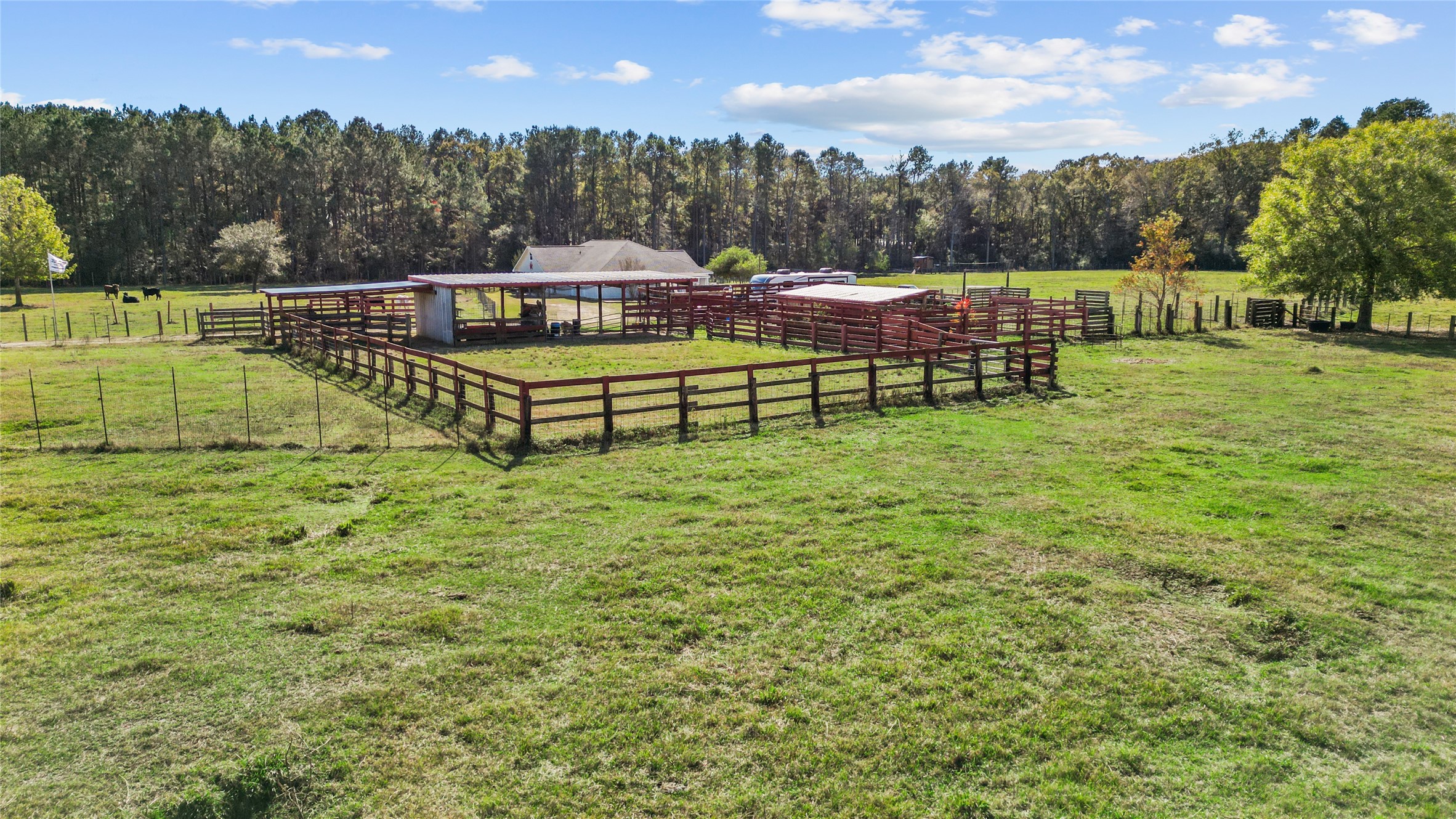 245 Alabama Point Livingston, TX 77351 - Photo 46 of 50 Pens