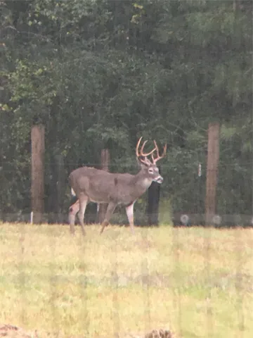 $589,900 | 245 Alabama Point, Livingston, TX 77351