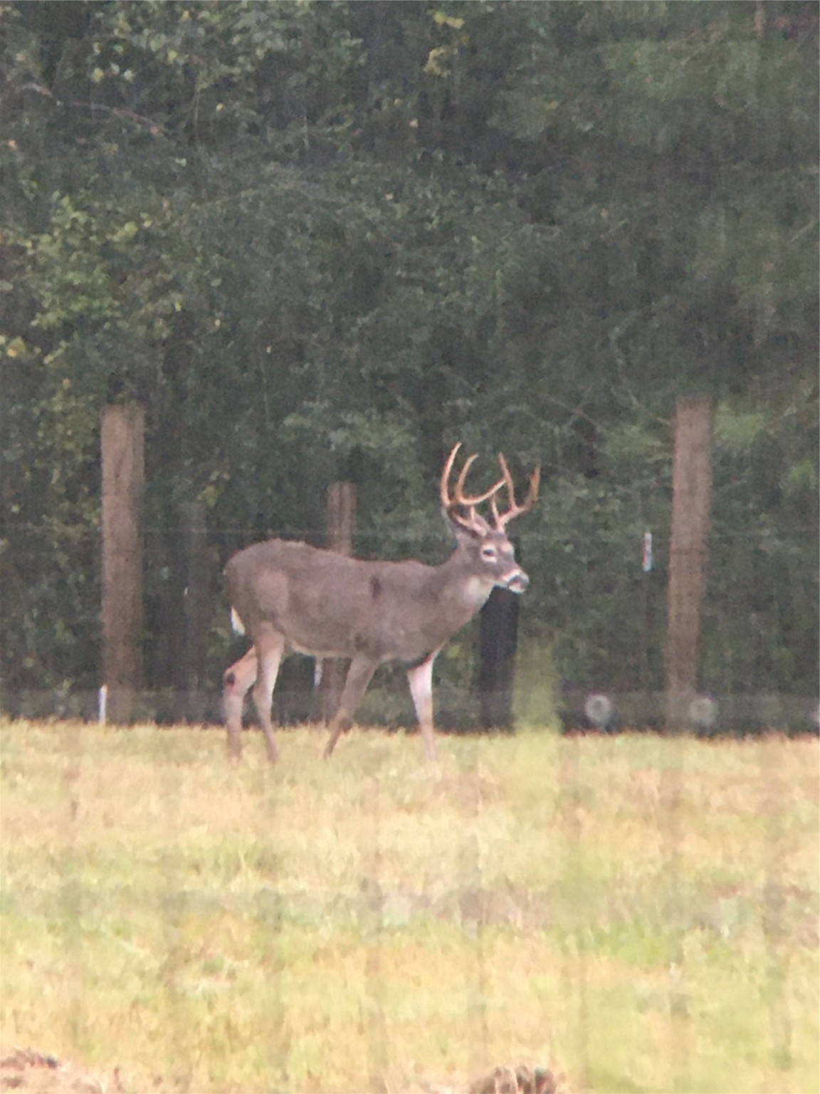 245 Alabama Point Livingston, TX 77351 - Photo 47 of 50 a bathroom with a bathtub