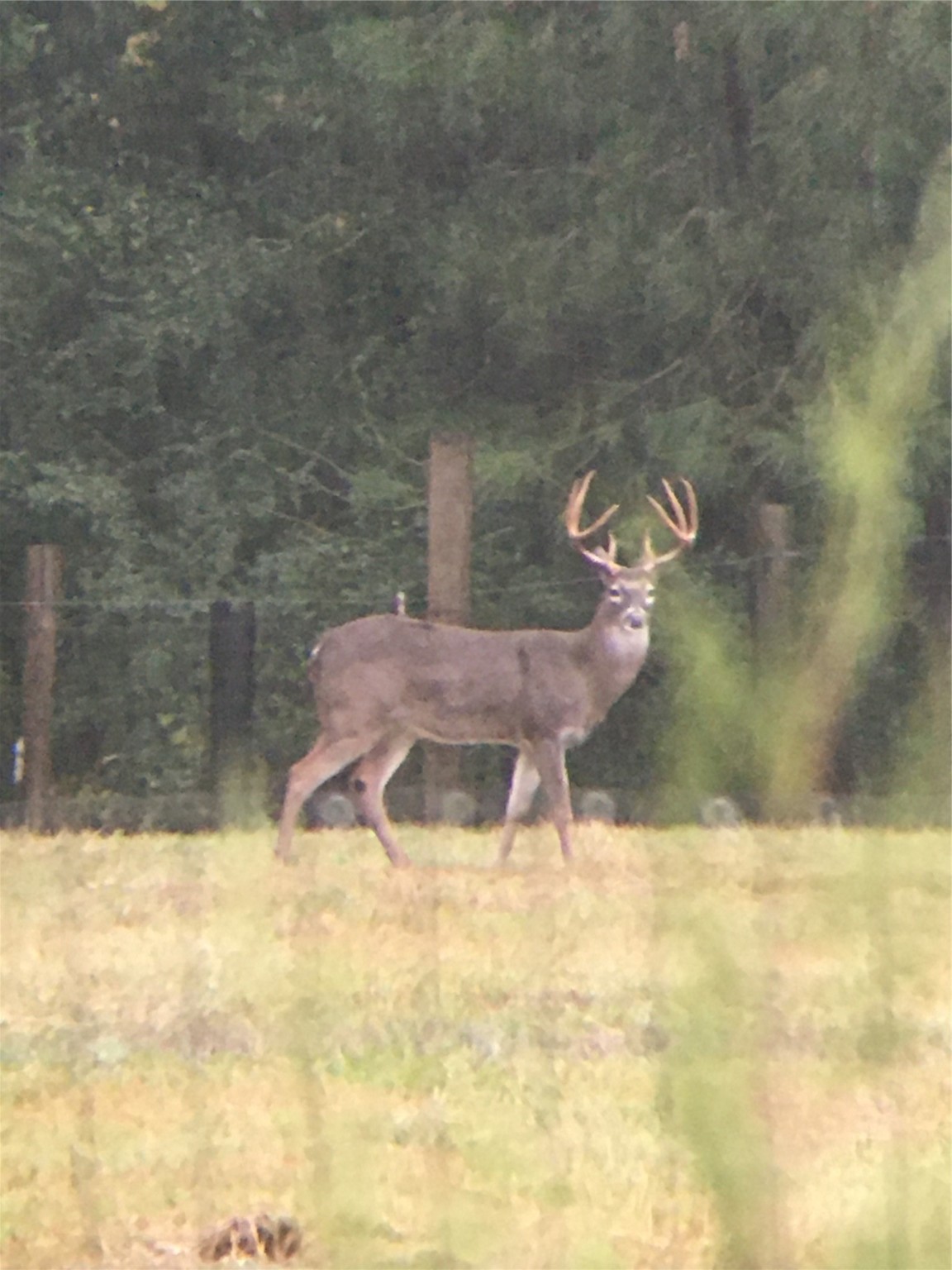 245 Alabama Point Livingston, TX 77351 - Photo 48 of 50