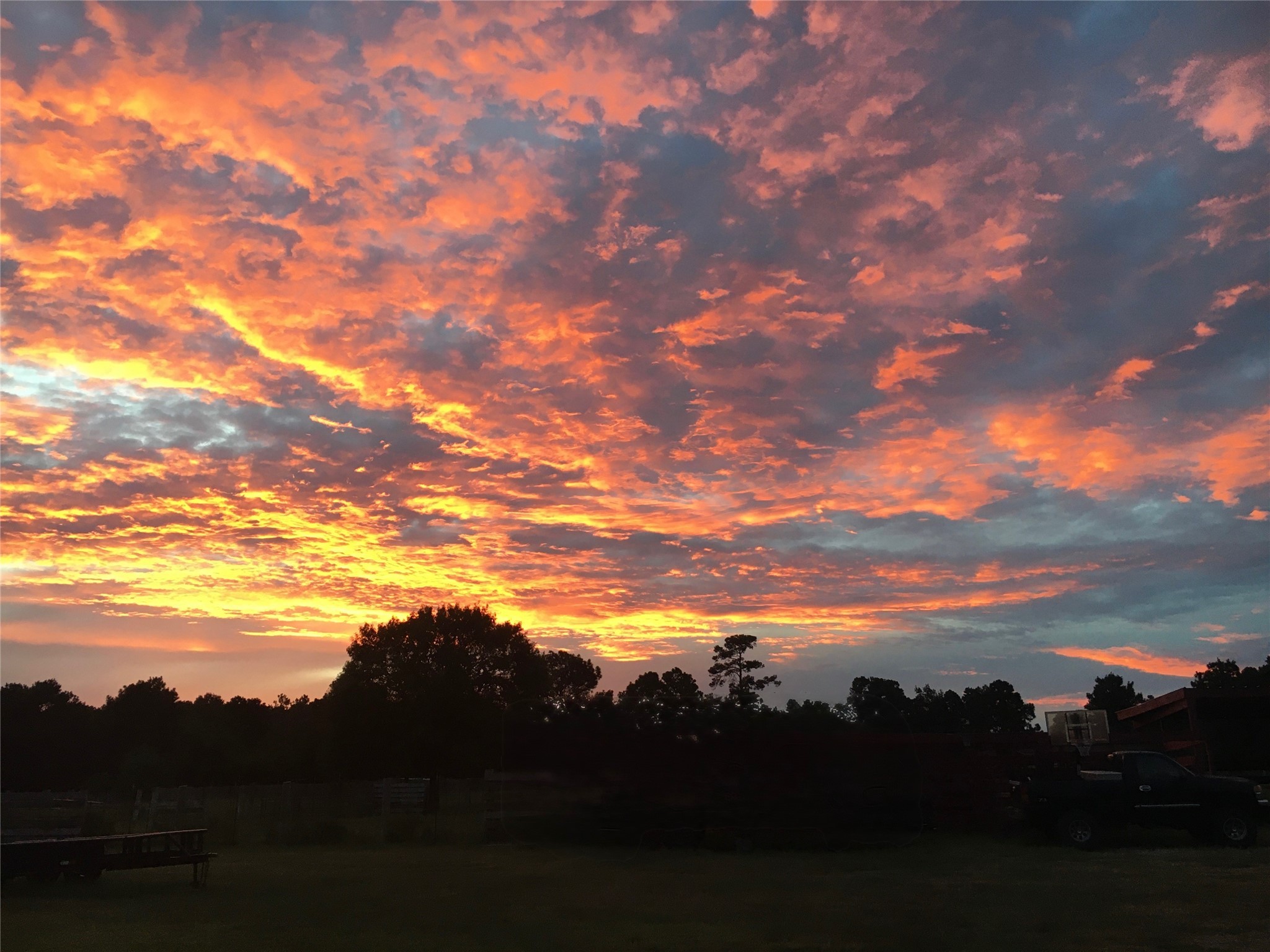 245 Alabama Point Livingston, TX 77351 - Photo 49 of 50 Let this be your new sunset view!